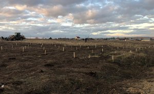 Работники «Нижнекамскнефтехима» высадили более 6,5 тыс. деревьев в селе Прости