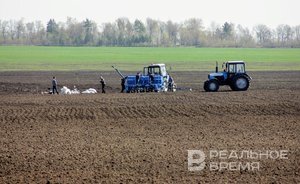 Татарстан впервые стал лидером по размеру застрахованных посевных площадей