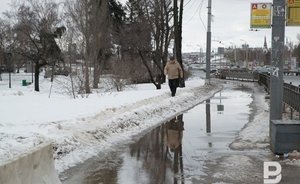 Синоптики предупредили татастанцев о тумане в понедельник