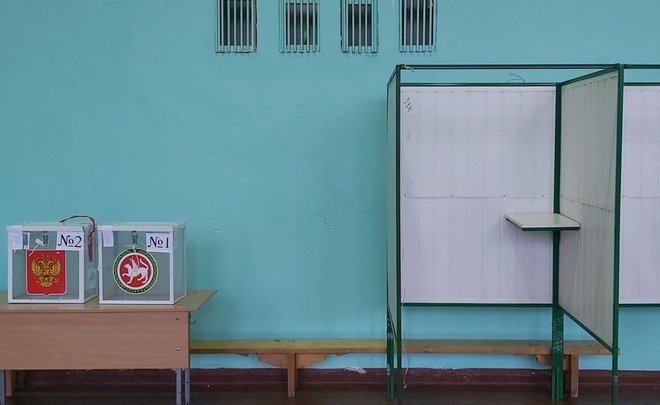 Роспотребнадзор по Татарстану об организации голосования: были некоторые неточности, но их устранили