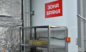 В Казани за учебный год забраковали почти 640 тонн продуктов для столовых школ и детсадов