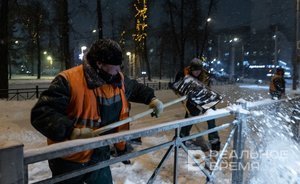 На содержание челнинских парков и скверов направят почти 60 млн рублей