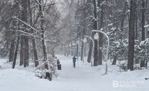 В начале следующей недели в Татарстане ожидаются метели и до -15 градусов