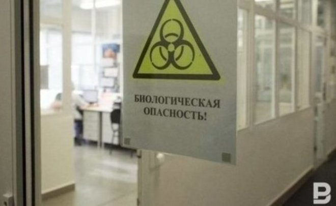 Ученые опасаются пробуждения древних вирусов из-за таяния мерзлоты