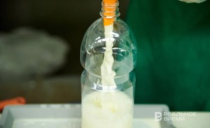 В 2023 году себестоимость сырого молока в России выросла на 17%