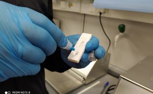 В Казани планируется производить до 30 тыс. тест-полосок на антитела к COVID-19 в месяц