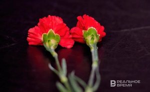 Количество погибших в результате землетрясений в Японии выросло до 110