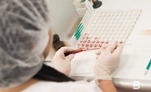 Эксперты: хантавирус не перерастет в новую эпидемию