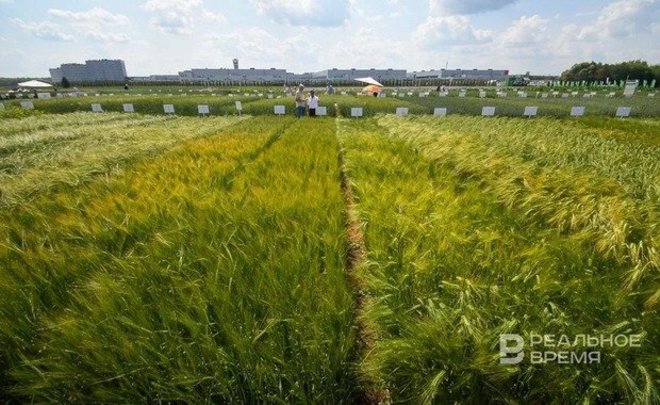 В Татарстане отменили режим ЧС из-за засухи