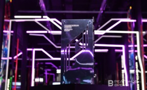 Российская команда Rose Noire победила в турнире MLBB в фиджитал-играх