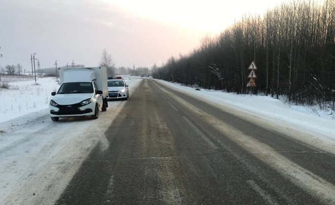 В Татарстане косуля погибла под колесами автомобиля