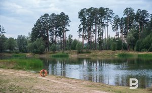 В Татарстане вновь продлили штормовое предупреждение о высокой и чрезвычайной пожароопасности лесов