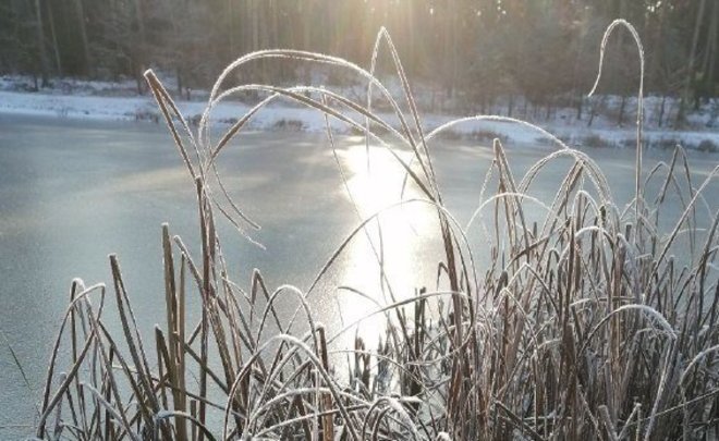 Гидрометцентр: в России изменяется длительность времен года