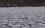 В Казани лебеди на озере вмерзли в лед