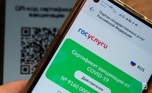 Второй день подряд портал «Госуслуги» подвергается самой мощной за всю историю кибератаке