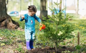 В рамках «Зеленой формулы» в Нижнекамском районе высадили 800 тысяч деревьев