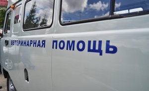 В Рыбно-Слободском районе Татарстана отменили карантин по бешенству животных