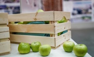 Казань вошла в пятерку городов, где жители питаются правильно