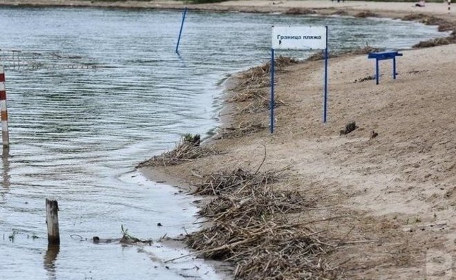 Погибшего в Актанышском районе РТ ребенка мать отпустила в 23:30 с пьяным соседом