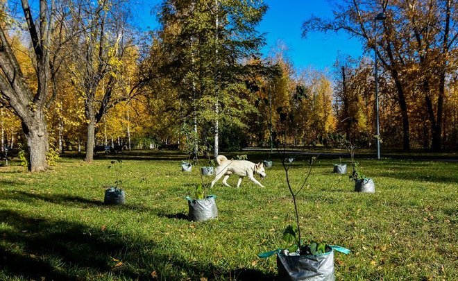 Синоптики Татарстана: в ближайшие дни температура будет на 5—7 градусов выше нормы