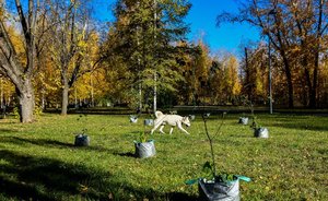 Синоптики Татарстана: в ближайшие дни температура будет на 5—7 градусов выше нормы