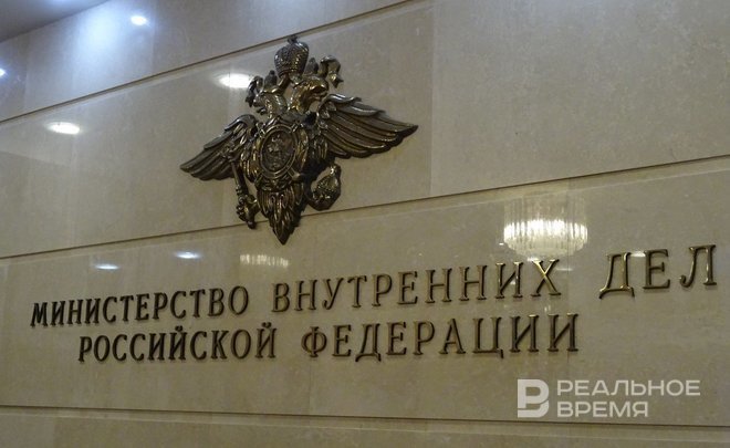 В Казани начали проверку после избиения собаки