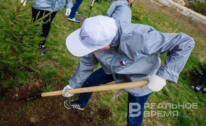 Казанский «Водоканал» высадит на своих очистных сооружениях деревья за 24 млн рублей