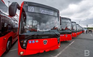 За год татарстанских перевозчиков оштрафовали на 24 млн рублей