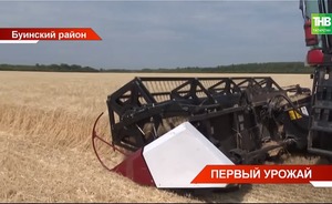 В восьми районах Татарстана приступили к уборке урожая — видео