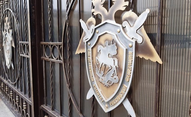 СК: татарстанец застрелил и закопал племянника