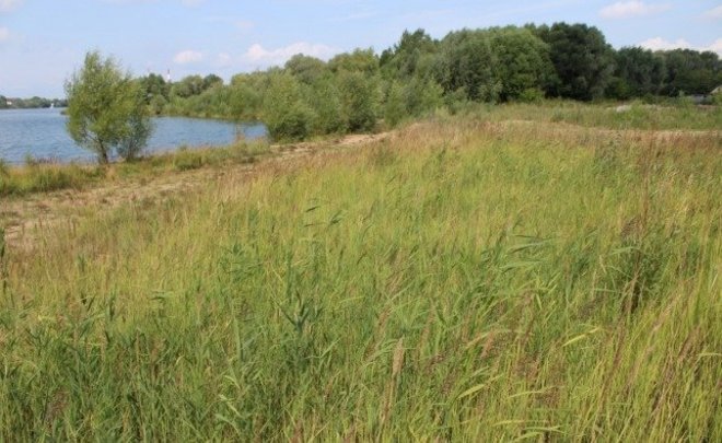 Сабинский зерноторговец Сорокин построит банный комплекс на Среднем Кабане в Казани