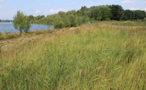 Сабинский зерноторговец Сорокин построит банный комплекс на Среднем Кабане в Казани