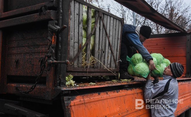 За неделю в Татарстане подешевели почти все овощи «борщевого набора»