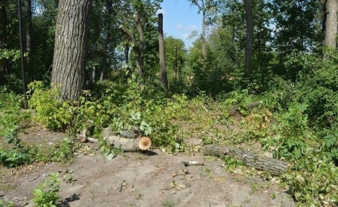 В Татарстане в 2020 году появились еще четыре особо охраняемые природные зоны