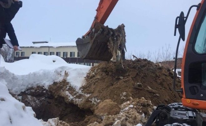 В Татарстане возбуждено уголовное дело о тоннах гнилой курятины у Волги