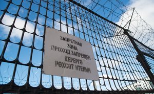 Владимир Путин поручил принять решение по амнистии некоторых категорий женщин