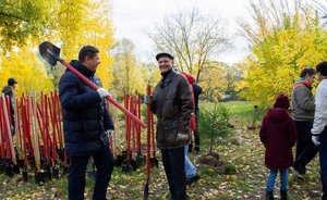 Метеорологи считают, что в России будет теплая осень