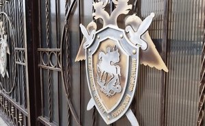 В Казани завели уголовное дело после издевательств матери над 10-летней дочерью