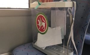 Татарстанцы смогут голосовать за президента республики из Москвы
