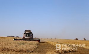 Мишустин подписал 260 млн поддержки для аграриев Татарстана