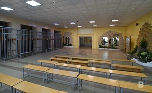 С начала года в полицию поступило более 800 сообщений из школ Казани