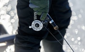 Минэкологии проверяет информацию о заморе рыбы в акватории Куйбышевского водохранилища в Казани