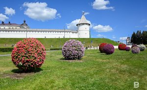В Казани сразу четыре пункта наблюдения зафиксировали повышенную концентрацию формальдегида в воздухе