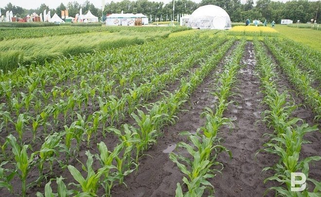 В Татарстане аграрии получили господдержку на 15,7 млрд рублей