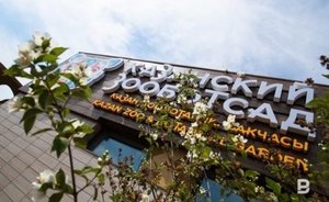 На крыше казанского зооботсада заметили огромные сосульки