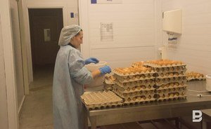 Яйца в магазинах Казани подорожали на 9%