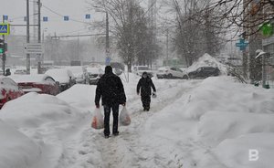 В парках Альметьевска и Набережных Челнов отменили мероприятия из-за морозов