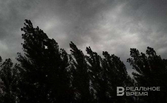 Татарстанцев предупредили о грозах с усилением ветра в понедельник