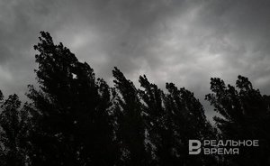 Татарстанцев предупредили о грозах с усилением ветра в понедельник