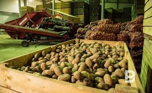 Сельскохозяйственные организации Татарстана за год увеличили объем изготавливаемой продукции почти вдвое